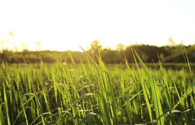 78053600.jpg 20220111093405_60097.jpg